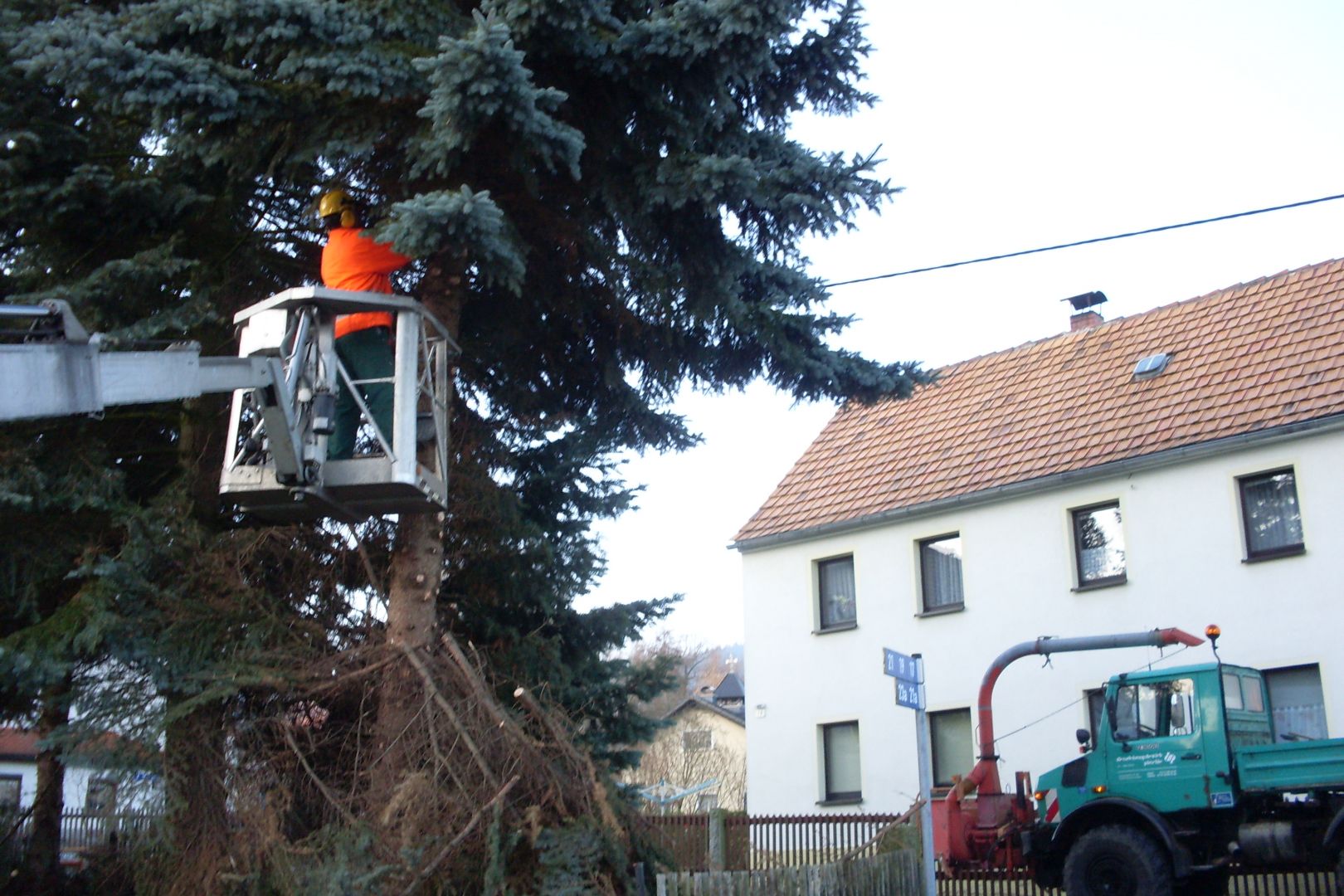 Baumfällung mit Hubarbeitsbühne, ein Arbeiter in oranger Jacke schneidet Äste eines großen Baumes.