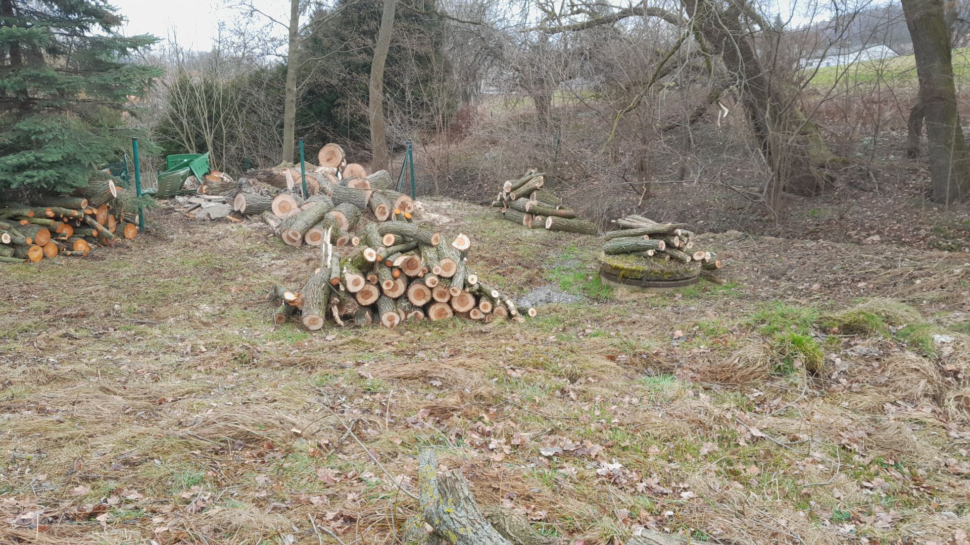 Gestapeltes, frisch geschlagenes Brennholz nach einer Baumfällung im Wald. Holzschlag vom Dienstleistungsbetrieb René Pötschke.